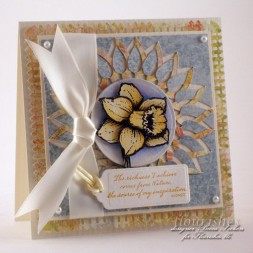 Flourishes Daffodil